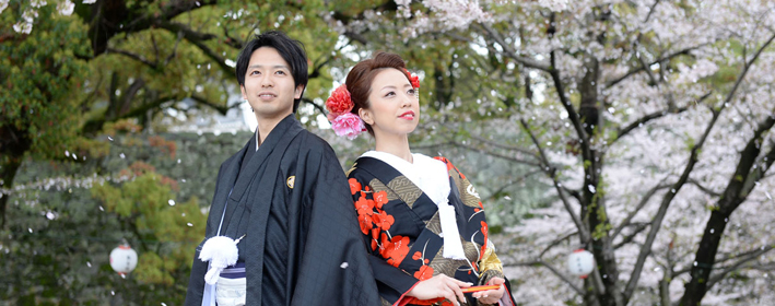 熊本城　桜プラン