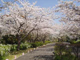 海の中道海浜公園